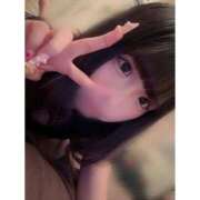 ヒメ日記 2026/04/22 11:40 投稿 リムル 石庭