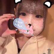 ヒメ日記 2026/04/23 18:22 投稿 リムル 石庭