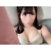 ヒメ日記 2026/04/29 11:50 投稿 リムル 石庭