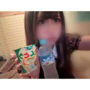 ヒメ日記 2026/05/19 16:13 投稿 リムル 石庭