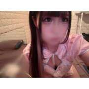 ヒメ日記 2026/05/20 15:36 投稿 リムル 石庭