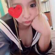 ヒメ日記 2025/03/24 12:05 投稿 みなみ 石庭