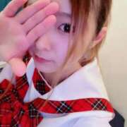 ヒメ日記 2025/03/26 09:54 投稿 みなみ 石庭