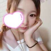 ヒメ日記 2025/04/15 10:30 投稿 みなみ 石庭