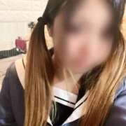 ヒメ日記 2025/10/28 20:20 投稿 みなみ 石庭