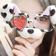 ヒメ日記 2025/11/16 19:40 投稿 みなみ 石庭