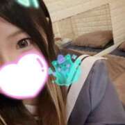 ヒメ日記 2025/11/17 20:20 投稿 みなみ 石庭