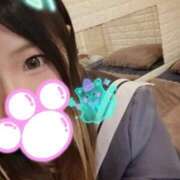 ヒメ日記 2025/11/20 18:40 投稿 みなみ 石庭