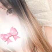 ヒメ日記 2025/11/20 21:00 投稿 みなみ 石庭