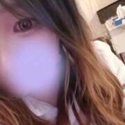 ヒメ日記 2025/11/22 19:20 投稿 みなみ 石庭