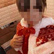 ヒメ日記 2025/12/14 19:01 投稿 みなみ 石庭