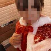 ヒメ日記 2025/12/14 22:30 投稿 みなみ 石庭