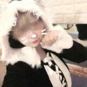 ヒメ日記 2026/04/23 18:20 投稿 みなみ 石庭