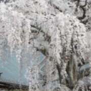 ヒメ日記 2025/03/28 21:03 投稿 すばる 甲府人妻隊