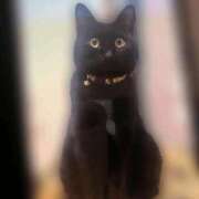 ヒメ日記 2025/07/20 18:01 投稿 すばる 甲府人妻隊