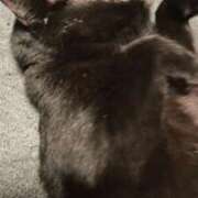 ヒメ日記 2025/08/10 15:42 投稿 すばる 甲府人妻隊