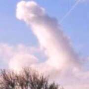 ヒメ日記 2026/01/07 10:26 投稿 すばる 甲府人妻隊