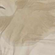 ヒメ日記 2026/01/29 02:35 投稿 すばる 甲府人妻隊