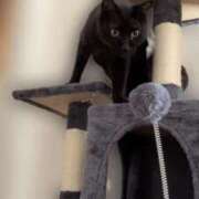 ヒメ日記 2026/02/22 23:50 投稿 すばる 甲府人妻隊