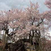 ヒメ日記 2026/03/23 20:43 投稿 すばる 甲府人妻隊