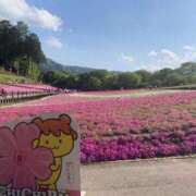 ヒメ日記 2026/05/06 16:21 投稿 すばる 甲府人妻隊