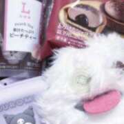 ヒメ日記 2025/12/29 00:59 投稿 みみ OL倶楽部