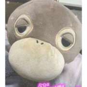 ヒメ日記 2025/03/16 02:57 投稿 沙夜 モアグループ大宮人妻花壇