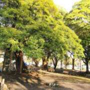 ヒメ日記 2025/03/20 12:59 投稿 このは 脱がされたい人妻 町田・相模原店