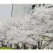 ヒメ日記 2025/03/30 14:53 投稿 このは 脱がされたい人妻 町田・相模原店