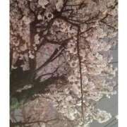 ヒメ日記 2025/04/01 22:15 投稿 このは 脱がされたい人妻 町田・相模原店