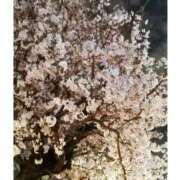 ヒメ日記 2025/04/03 22:23 投稿 このは 脱がされたい人妻 町田・相模原店