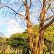 ヒメ日記 2025/04/20 23:15 投稿 このは 脱がされたい人妻 町田・相模原店