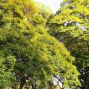 ヒメ日記 2025/05/12 23:45 投稿 このは 脱がされたい人妻 町田・相模原店