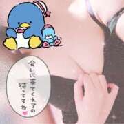 ヒメ日記 2026/03/04 20:37 投稿 うらら buzz-B