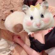 ヒメ日記 2026/03/08 22:30 投稿 うらら buzz-B