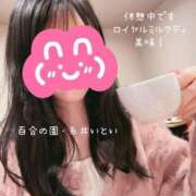 ヒメ日記 2024/12/12 15:43 投稿 糸井(いとい) 人妻出逢い会 百合の園 池袋店