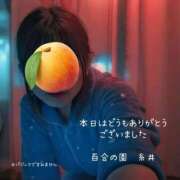 ヒメ日記 2025/01/18 00:33 投稿 糸井(いとい) 人妻出逢い会 百合の園 池袋店