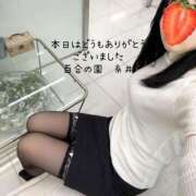 ヒメ日記 2025/02/07 21:43 投稿 糸井(いとい) 人妻出逢い会 百合の園 池袋店