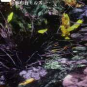 ヒメ日記 2025/02/18 17:33 投稿 糸井(いとい) 人妻出逢い会 百合の園 池袋店