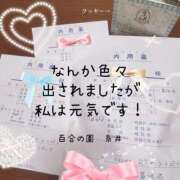 ヒメ日記 2025/02/26 19:53 投稿 糸井(いとい) 人妻出逢い会 百合の園 池袋店