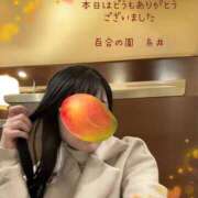 ヒメ日記 2025/03/07 17:03 投稿 糸井(いとい) 人妻出逢い会 百合の園 池袋店