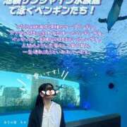 ヒメ日記 2025/05/12 09:53 投稿 糸井(いとい) 人妻出逢い会 百合の園 池袋店