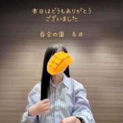 ヒメ日記 2025/05/13 22:53 投稿 糸井(いとい) 人妻出逢い会 百合の園 池袋店