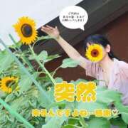 ヒメ日記 2025/07/23 18:23 投稿 糸井(いとい) 人妻出逢い会 百合の園 池袋店