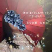 ヒメ日記 2025/09/05 23:53 投稿 糸井(いとい) 人妻出逢い会 百合の園 池袋店