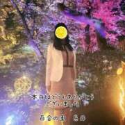 ヒメ日記 2025/10/17 20:13 投稿 糸井(いとい) 人妻出逢い会 百合の園 池袋店