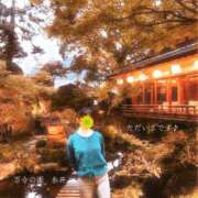 ヒメ日記 2025/11/10 20:23 投稿 糸井(いとい) 人妻出逢い会 百合の園 池袋店