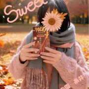 ヒメ日記 2025/11/11 10:33 投稿 糸井(いとい) 人妻出逢い会 百合の園 池袋店