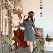 ヒメ日記 2025/11/12 16:33 投稿 糸井(いとい) 人妻出逢い会 百合の園 池袋店