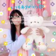 ヒメ日記 2025/11/17 10:03 投稿 糸井(いとい) 人妻出逢い会 百合の園 池袋店